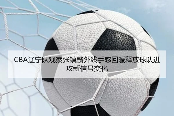 CBA辽宁队观察张镇麟外线手感回暖释放球队进攻新信号变化